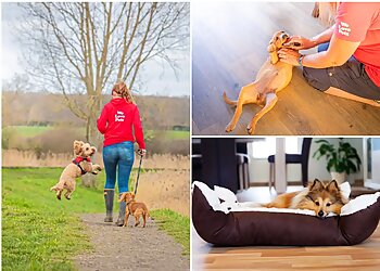 We Love Pets Woodbridge