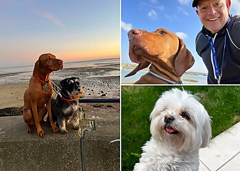 Webbs Walkies Pet Services