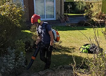 Weedons Tree Surgery & Garden Maintenance