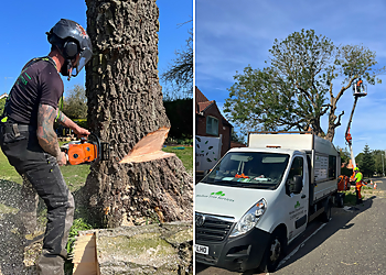 Welton Tree Services Ltd