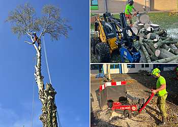 Welton Tree Services Ltd