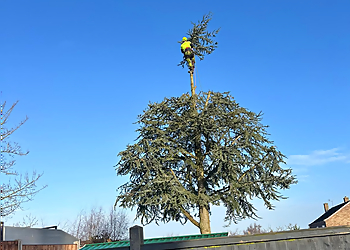 Welton Tree Services Ltd Welton Tree Services Ltd