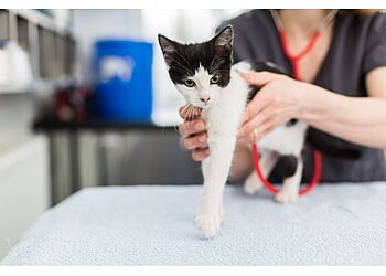 Wendover Heights Veterinary Centre