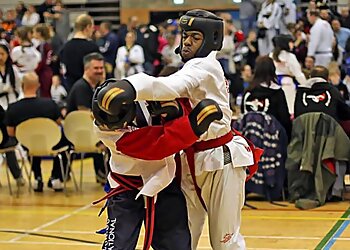 Sandwell martial arts West Bromwich TAGB Tae Kwon-Do image 1