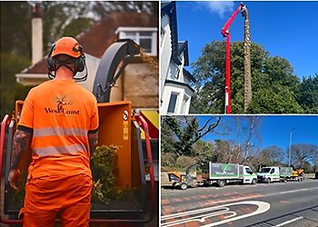 West Coast Tree Surgeons