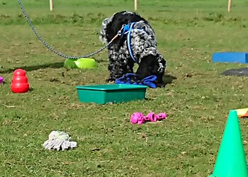 West Cornwall Dog Training
