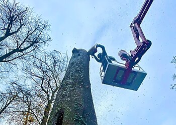 Westbeams Tree Care Ltd.