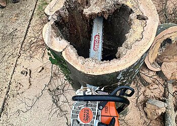 Westbeams Tree Care Ltd.