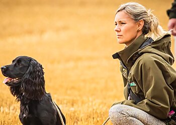 Whistle and Wag Dog Training