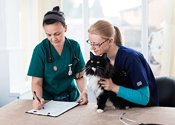 3 Best Vets in Doncaster, UK - Expert Recommendations