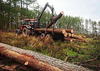 White's Tree Services