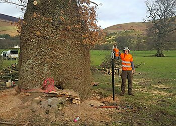 White's Tree Services