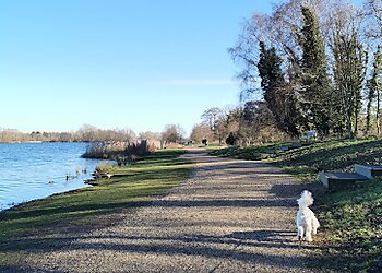 Whitlingham Country Park