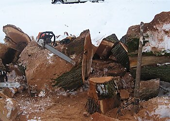 Wholetree Tree Surgery