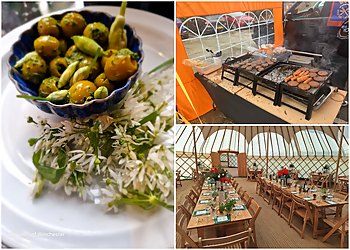 Wild Ones of Winchester