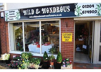 Wild & Wondrous Ltd.