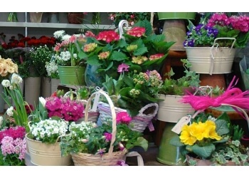 Wildbunch Florists Winchester