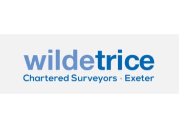 Exeter surveyors WildeTrice Ltd image 1