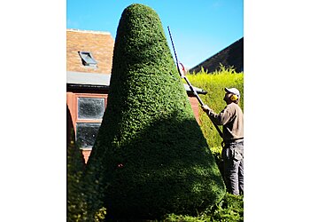 Wilding Gardening Services