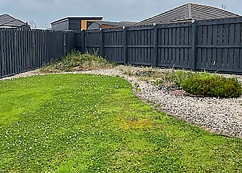 Williams Handyman Services