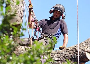 Willow Tree Services Lincs Ltd.