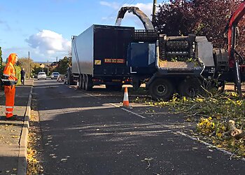 Willow Tree Services Lincs Ltd.