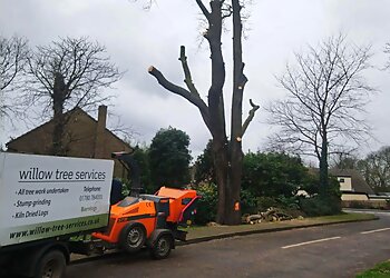 Peterborough tree services Willow Tree Services Lincs Ltd image 1