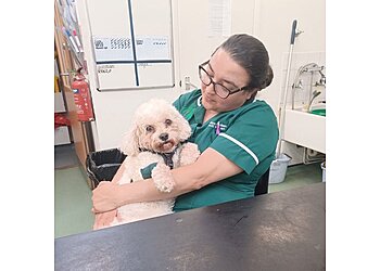 Willow Veterinary Centres