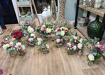 Willow & Wisteria Flowers