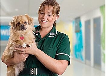 Willows Veterinary Centre & Referral Service