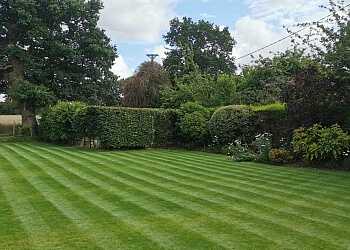 Will's Norfolk Lawns