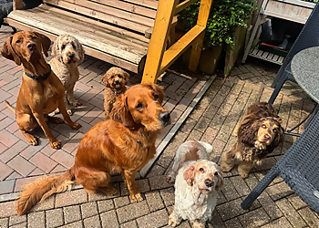 Willsbridge Walkies Willsbridge Walkies