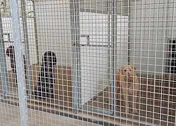 Windy Hill Pet Boarding & Grooming