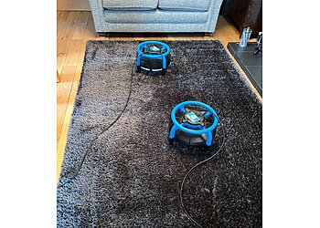 Wink's Carpet & Upholstery Cleaning