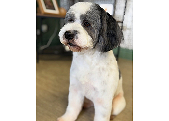 Wirral Dog Groomers Ltd