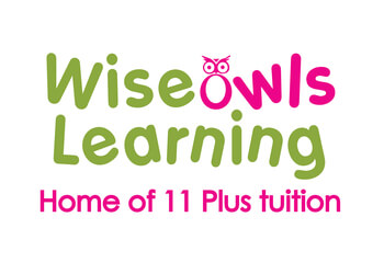 Wiseowls Learning