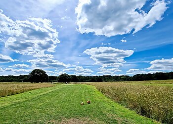 Wokingham Family Golf