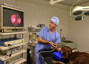 Wood Veterinary Group