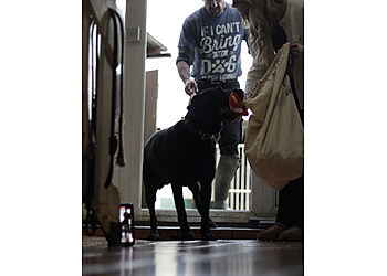 Woodend Farm Complex