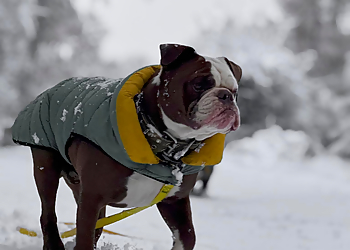 Woodend Farm Complex Woodend Farm Complex