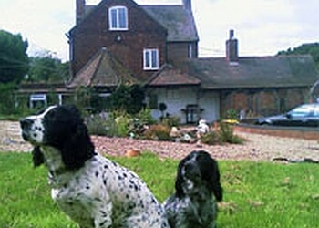 Woodfarm Kennels and Cattery