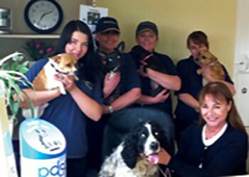 Woodfarm Kennels and Cattery