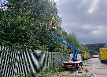 Woodfelder Tree Care Limited