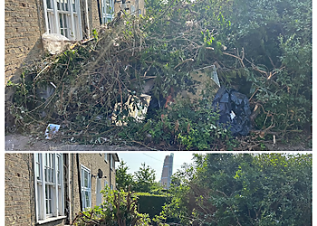Woodsie's Waste