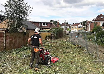 Woodsman Tree Care