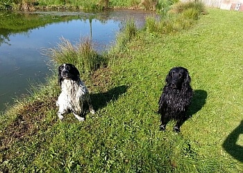 Woodview Boarding Kennels and Cattery