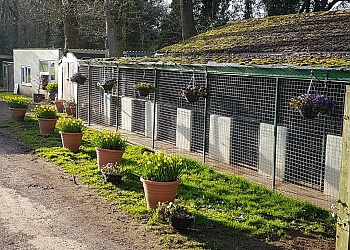 Bristol boarding kennels Woodview boarding kennels and cattery  image 1