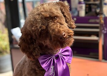 Woody Woods Pet Services