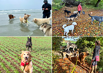 WoofNboots Dog Walking & Pet Services