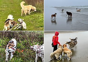 WoofNboots Dog Walking & Pet Services